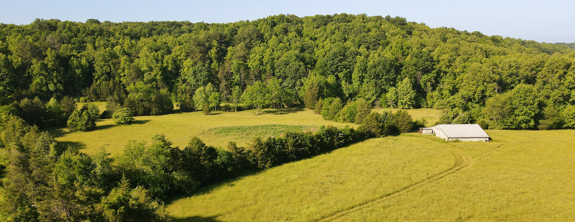 Bashavia Creek Preserve Volunteer Workday